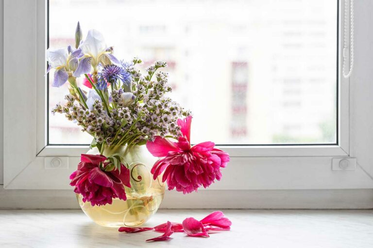 Does Aspirin Keep Flowers Fresh in Riyadh, Saudi Arabia