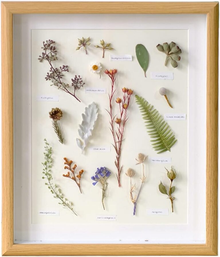 How to Press Flowers for Framing in Riyadh, Saudi Arabia